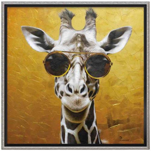 ưʪ  ڥ  M  ޥե 桼ѥ OP-18076 ե դ ƥꥢ  ޥޥݥå