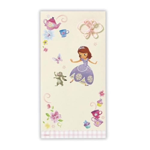 祝儀袋 ちいさなプリンセス 金封 SN無地ソフィア3 ディズニー 日本ホールマーク 封筒 祝い事全般 お祝..