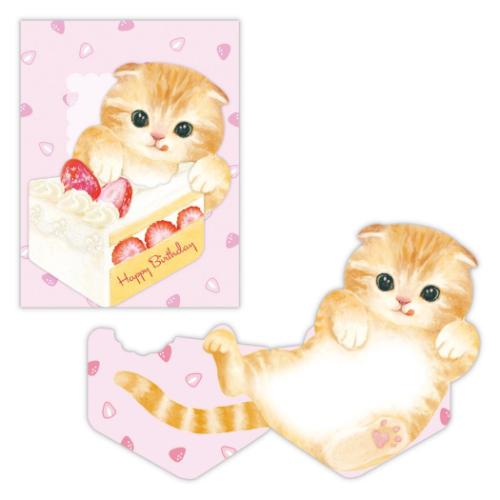 ミニカード 誕生お祝い スコティッシュフォールド 日本ホールマーク バースデーカード メッセージカード メール便可 マシュマロポップ