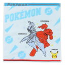 ハンドタオル ポケットモンスター ジャガードウォッシュタオル O2081ソウブレイズ グレンアルマ ポケモン 林タオル 汗拭きタオル メール便可 マシュマロポップ