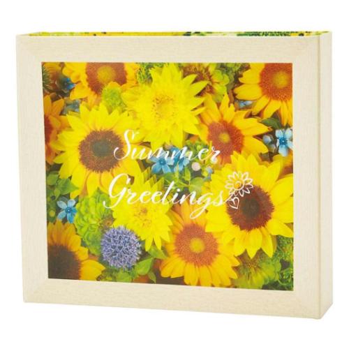 グリーティングカード シヨチユウJSP 38-5 サマー ヒマワリフラワーボックス サンリオ 暑中お見舞い メッセージカード メール便可 マシュマロポップ