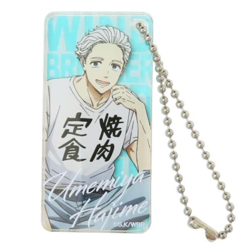 キーホルダー WIND BREAKER ウィンドブレイカー ドミテリアキーチェーン vol.2 梅宮 アイアップ コレク..