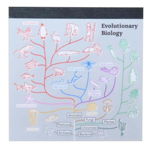 メモ帳 STUDY HOLIC メモパッド スクエア 進化生物学 Green Flash 新学期準備文具 事務用品 学び 学問 ..