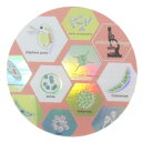 ダイカットシール STUDY HOLIC オーロラステッカー 微生物学 Green Flash デコシール 耐水耐光 学び 学問 メール便可 マシュマロポップ