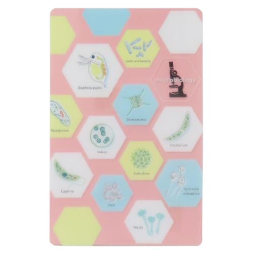 しおり STUDY HOLIC クリアブックマーク 微生物学 Green Flash 読書 文庫本 学び 学問 メール便可 マシ..