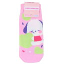 女性用靴下 ポチャッコ レディースソックス ぷにきゅきゅ サンリオ スモールプラネット キャラックス 大人向け メール便可 マシュマロポップ