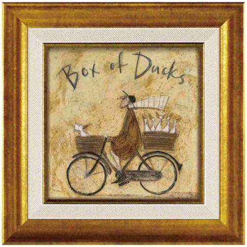 դݥ  ȥե ȥե졼 S ҥ ܥå 桼ѥ ST-04061 ե ƥꥢ  ޥޥݥå