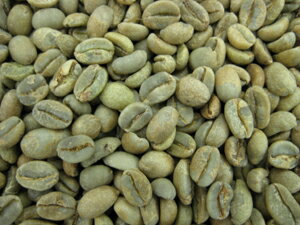 コーヒー生豆エチオピア モカ シダモ G-4 1kg【三本珈琲 三本コーヒー】【】