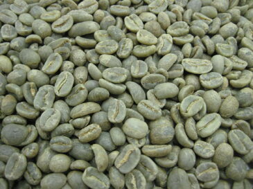 【送料無料】コーヒー生豆コロンビア エクセルソ　5kg※沖縄県は別途送料がかかります。【】