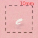 Nameネイルシール【アルファベット・イニシャル】小文字ホワイト( e )1シート9枚入