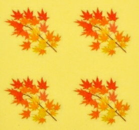 紅葉・秋【ネイルデザインシール】もみじ(5)/1シート4枚入