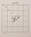 【スワロフスキー27個付イニシャルシール】(スマートホン&オリジナルケース・カバー)大文字SV(小)V