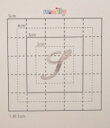 【スワロフスキー27個付イニシャルシール】(スマートホン&オリジナルケース・カバー)大文字SV(小)S