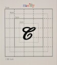 【スワロフスキー27個付ネームシール】(オリジナルプリントケース&カバー)大文字BK(小)C