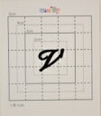 【スワロフスキー27個付ネームシール】(オリジナルプリントケース&カバー)大文字BK(小)V