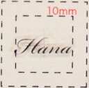 名前 ネイルシール【アルファベット・イニシャル】デザイン( Hana はな)1シート6枚入