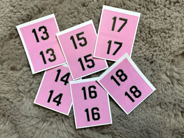 �����ֹ楷����ʥԥ󥯡��֥�å��ˡۥե����������롡�顡�����롡�ʤǤ��������ݡ��ġ����硡���ݡ���������塡���ܡ�������ɽ���⹻��塡����ѥ���ɽ���饰�ӡ����Х졼�����å��������ɥ��åס������ԥå������ֹ桡�ܥǥ����Х������Х����åȥܡ���