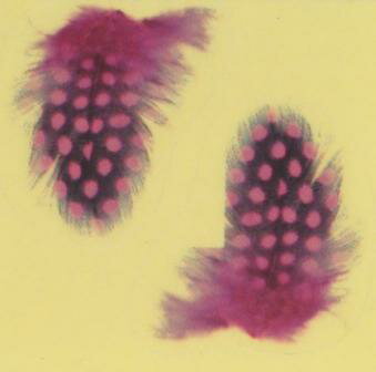 フェザー（羽根）【ネイルアート・デコシール】(2)ピンク1シート2枚入