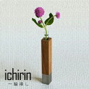 ֑}-ichirin-`[Nmmis V CeA