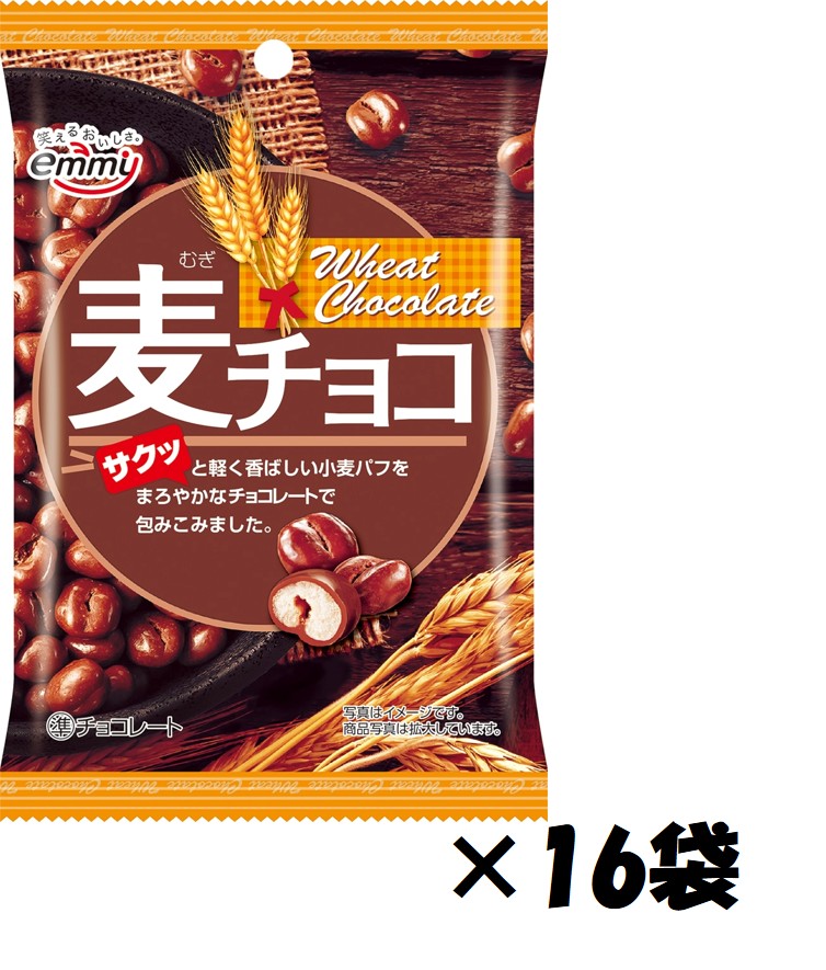 正栄デリシィ 麦チョコ 30g×16袋