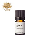 キャラウェイ・エッセンシャルオイル/5ml 100% 無添加 エッセンシャルオイル 精油 人気 香水アロマ 手作り コスメ 化粧品 石鹸 石けん 原料 材料 素材 香り 香水 キャラウェイシード ゴキブリ対策 リラックス スパイス系
