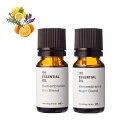 デイ＆ナイトブレンド・エッセンシャルオイル／10ml×2本