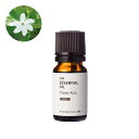 ティアレ・アブソリュート・野生種(モノイ)/10ml 100% 植物性 フレグランス 香り エッセンシャルオイル アロマ 手づくり 手作り コスメ 化粧品 石鹸...