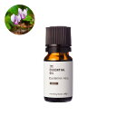 シクラメン・アブソリュート・野生種/10ml 100% 植物性 フレグランス 香り エッセンシャルオイル アロマ 手づくり 手作り コスメ 化粧品 石鹸 石けん...