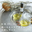 選べるオイルトライアルセット/4本【ボディ ヘア 保湿 お試し アルガン ホホバ オーガニック スキンケア キャリア 美容 オイル マッサージ 手作り コスメ ...