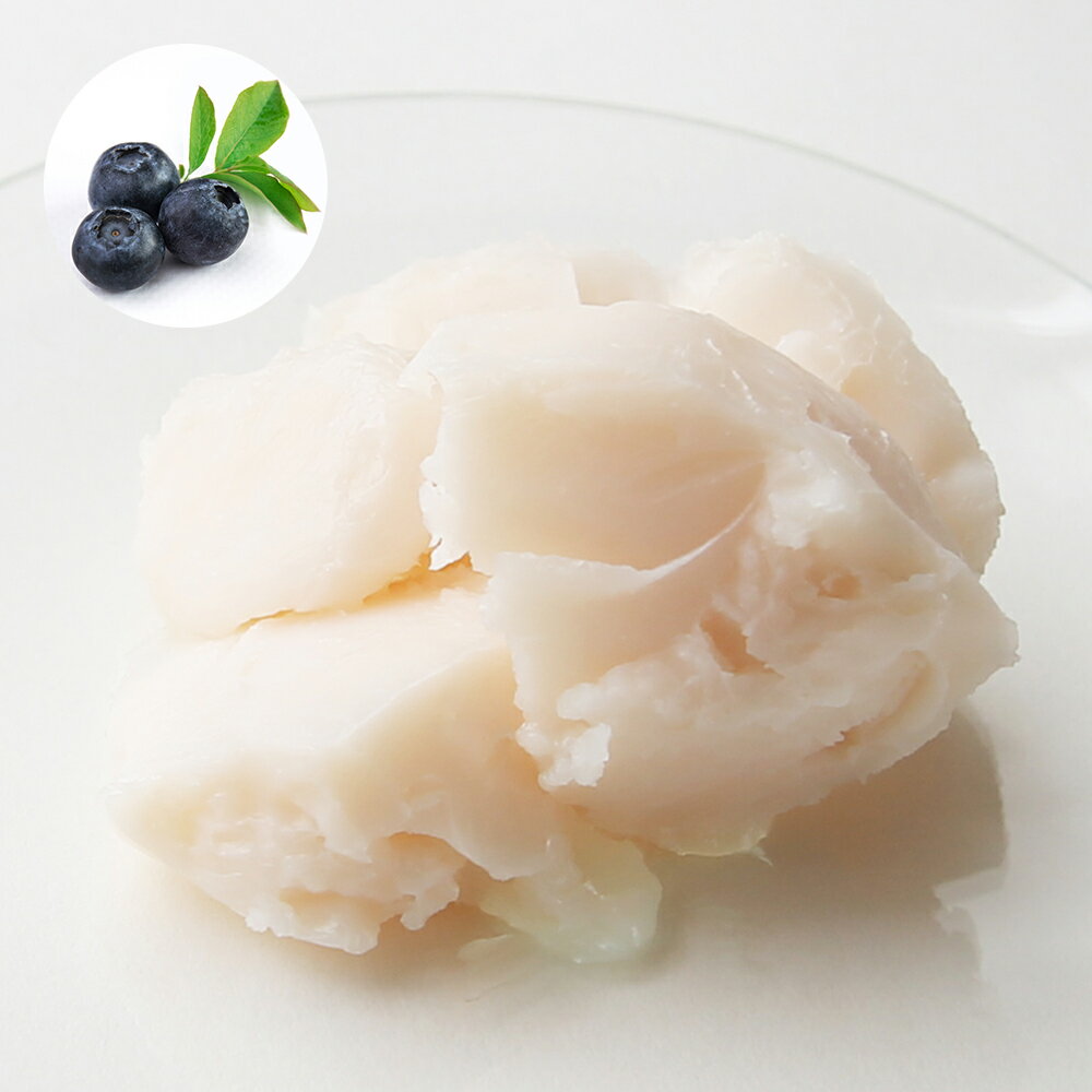 ブルーベリーバター/50g (未精製・Virg in)無添加 無香料 植物性 保湿 乾燥肌 肌荒れケア エイジングケア 天然 リップ ハンド ボディー クリーム マッサージ バーム 軟膏 手作り コスメ 化粧品 石鹸 原料 100% 人気