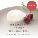 【メール便200円】アンチリンクル ジェルクリームキット フルセット／1個【エイジングケア 混合肌 年齢肌 保湿 オールインワン ダームコム クリーム 手作り コスメ 手づくり 化粧品 原料 材料 素材 フェイス スキンケア】