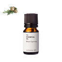 【10%OFFセール】ブルーサイプレス・エッセンシャルオイル/10ml 100% 植物性 フレグランス 香り 精油 アロマ 手づくり 手作り コスメ 化粧品 石鹸 石けん 原料 材料 素材