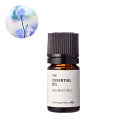 【10%OFFセール】アイリスルート・アブソリュート/2ml 100% 植物性 フレグランス 香り エッセンシャルオイル アロマ 手づくり 手作り コスメ 化粧...