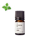 【メール便200円】パチュリ エッセンシャルオイル オーガニック／5ml（有機栽培 Organic）【100 植物性 フレグランス 香り エッセンシャルオイル アロマ 手づくり 手作り コスメ 化粧品 石鹸 石けん 原料 材料 素材】