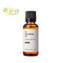 【送料無料】チュベローズ・アブソリュート・オーガニック／30ml（有機栽培・Organic）【100% ピュア 天然 植物 無添加 精油 アロマ オイル フローラル 手作り コスメ 化粧品 手づくり 石鹸 石けん 原料 材料 素材 おすすめ　月下香　香水】