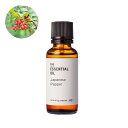 【P10倍】山椒・エッセンシャルオイル/30ml 100% スパイス スパイシー Japanese pepper リフレッシュ ストレス緩和 植物性 ピュア 直...