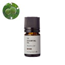 グアバリーフ・エッセンシャルオイル・野生種/1ml【100% フルーティ シトラス スパイシー ウッディ リフレッシュ リラックス ストレス緩和 植物性 ピュア...