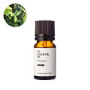 プチグレン・エッセンシャルオイル・オーガニック／10ml（有機栽培・Organic）