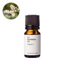 カユプテ・エッセンシャルオイル/10ml 100% 植物性 フレグランス 精油 アロマ 人気 香水 手作り コスメ 手づくり 化粧品 ハンドメイド 石鹸 石けん 原料 材料 素材