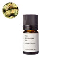 グリーンペッパー・エッセンシャルオイル/5ml 100% ピュア 天然 植物 リラックス 人気 香水ストレス緩和 高品質 無添加 精油 アロマ オイル 手作り コスメ 化粧品 手づくり 石鹸 石けん 原料 材料 素材 おすすめ