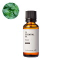 【P10倍】バジル・エッセンシャルオイル・オーガニック/30ml (有機栽培・Org anic)100% ピュア 天然 植物 リラックス 人気 香水ストレス緩和...
