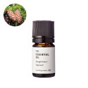 エンゲルマンスプルース・エッセンシャルオイル/5ml 100% ピュア 天然 植物 リラックス 人気 香水ストレス緩和 高品質 無添加 精油 アロマ オイル 手作り コスメ 化粧品 手づくり 石鹸 石けん 原料 材料 素材 おすすめ