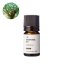 カブリューバ・エッセンシャルオイル・野生種/5ml 100% ピュア 天然 植物 リラックス 人気 香水ストレス緩和 高品質 無添加 精油 アロマ オイル 手作り コスメ 化粧品 手づくり 石鹸 石けん 原料 材料 素材 おすすめ