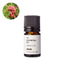 マスティックリーフ・エッセンシャルオイル・野生種/5ml 100% ピュア 天然 植物 無添加 精油 アロマ 人気 香水 オイル グリーン ハーバル バルサム ...