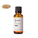 【10%OFFセール】クミンシード・エッセンシャルオイル・オーガニック/30ml (有機栽培・Org anic)100% ピュア 天然 植物 無添加 精油 アロマ 人気 香水 オイル スパイス 手作り コスメ 化粧品 手づくり 石鹸 石けん 原料 材料 素材 おすすめ