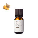 【10%OFFセール】ワイルドターメリック・エッセンシャルオイル・野生種/10ml 100% ピュア 天然 植物 無添加 精油 アロマ 人気 香水 オイル スパイス スパイシー 手作り コスメ 化粧品 手づくり 石鹸 石けん 原料 材料 素材 おすすめ 春ウコン