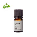 【メール便200円】コリアンダー・エッセンシャルオイル・オーガニック／1ml（有機栽培・Organic）【100% ピュア 天然 植物 無添加 精油 アロマ オイル スパイス ハーブ 手作り コスメ 化粧品 手づくり 石鹸 石けん 原料 材料 素材 おすすめ パクチー】