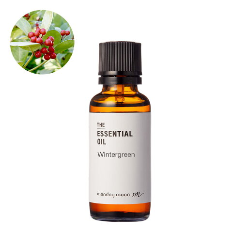 ウィンターグリーン・エッセンシャルオイル/30ml 100% ピュア 天然 植物 無添加 精油 アロマ 人気 香水 オイル メントール ウッディ 手作り コスメ 化粧品 手づくり 石鹸 石けん 原料 材料 素材 おすすめ チェッカーベリー ウィンターグリーン・エッセンシャルオイル/30ml 100% ピュア 天然 植物 無添加 精油 アロマ 人気 香水 オイル メントール ウッディ 手作り コスメ 化粧品 手づくり 石鹸 石けん 原料 材料 素材 おすすめ チェッカーベリー