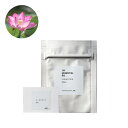 ロータスピンク・アブソリュート/テスター【スイレン 睡蓮 100% ピュア 天然 植物 無添加 精油 アロマ 人気 香水 オイル フレッシュ フローラル 手作り...