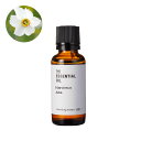 【10%OFFセール】ナルシス・アブソリュート(水仙)/30ml 100% ピュア 天然 植物 無添加 精油 アロマ 人気 香水 オイル グリーン フローラル 手作り コスメ 化粧品 手づくり 石鹸 石けん 原料 材料 素材 おすすめ 水仙